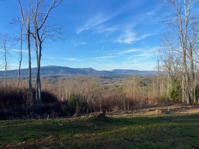 1 Chestnut Mountain Road Reliance, TN 37369 - Photo 1 of 24 Gallery Image 1