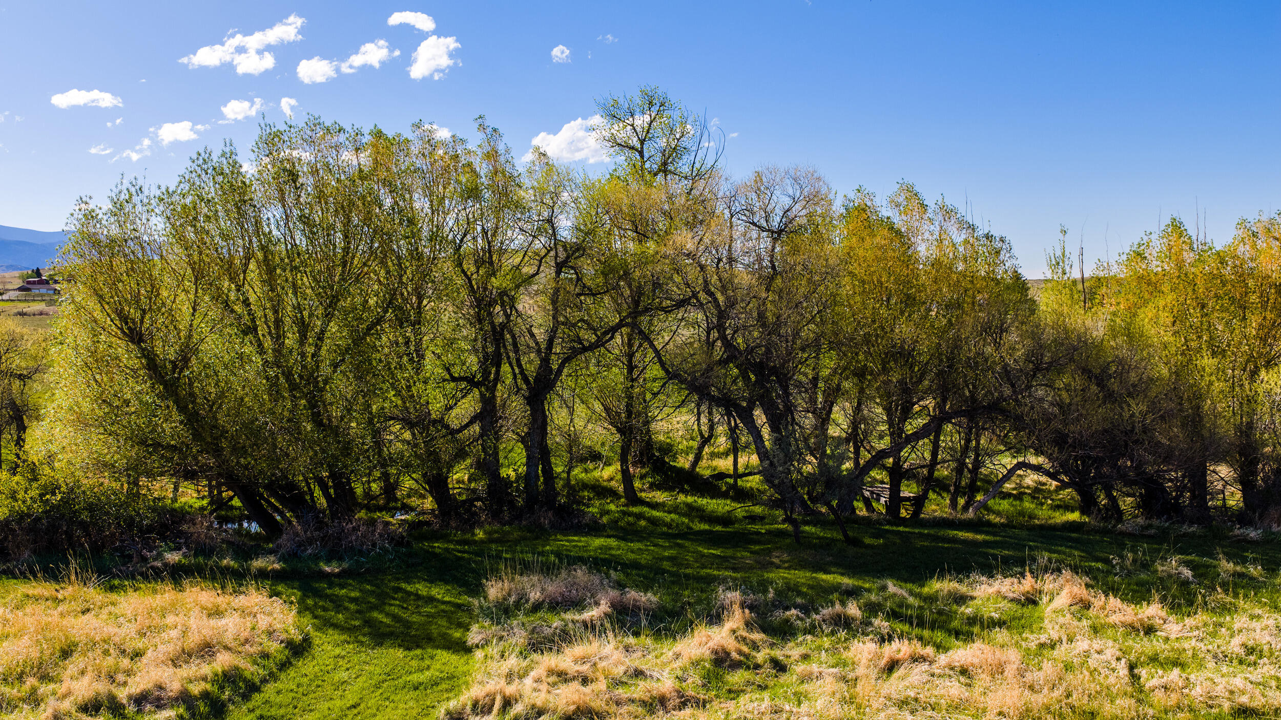 6 Goose Landing Lane Buffalo, WY 82834 - Photo 65 of 78 66
