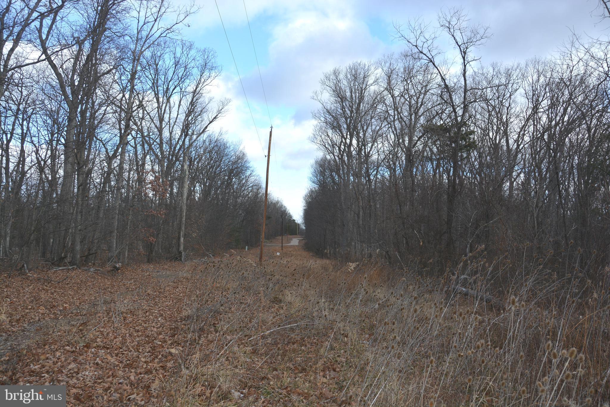 South Timber Ridge Road Cross Junction, VA 22625 - Photo 5 of 7 Power lines across property offers access