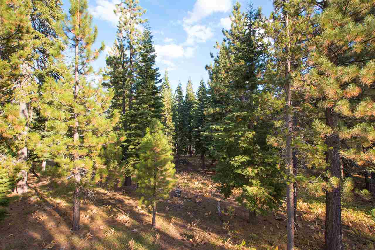 14741 Tyrol Road Truckee, CA 96161 - Photo 14 of 14 Gallery Image 14