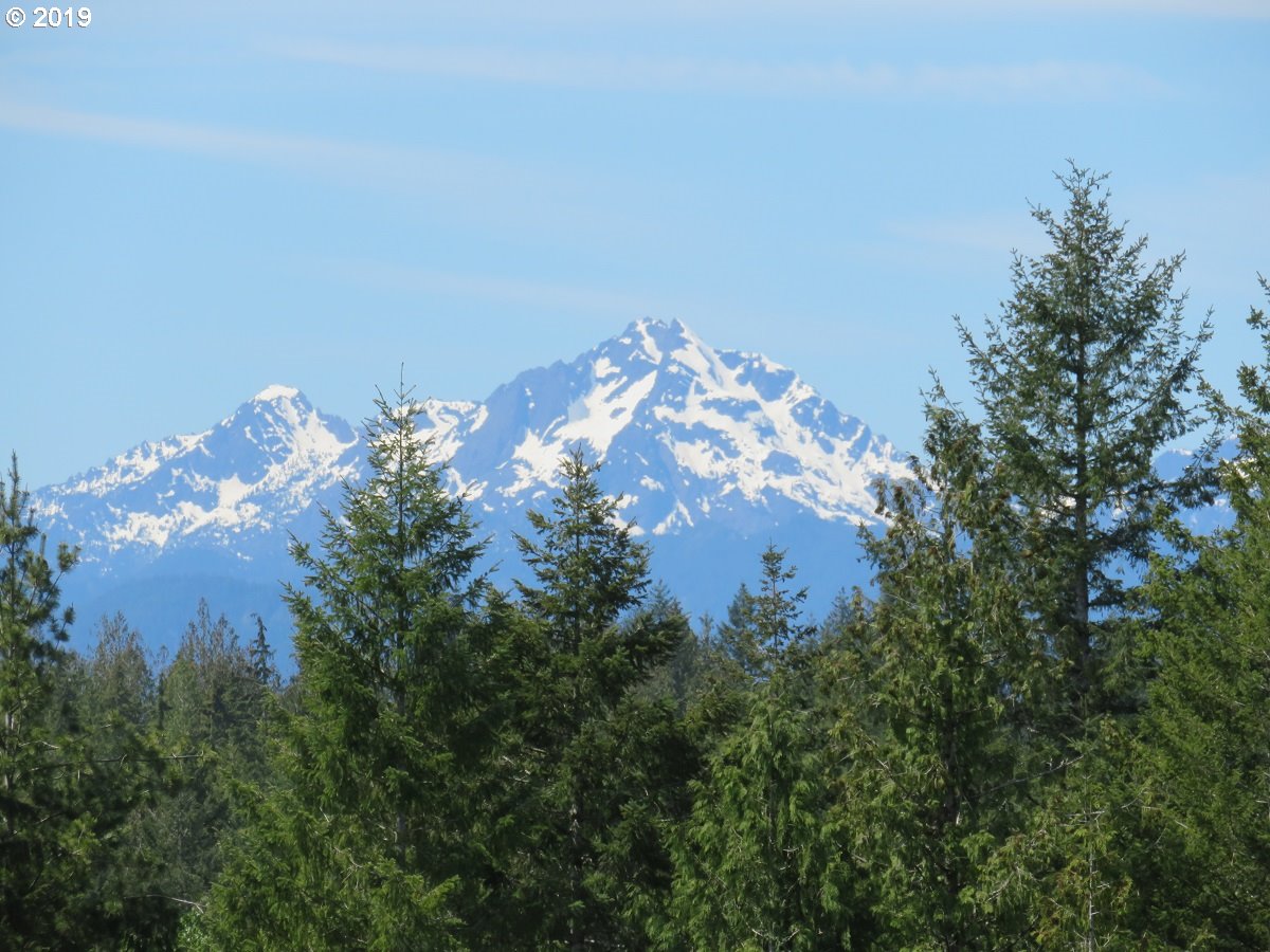 Wayne Road, Unit 4 & 5 Seabeck, WA 98380 - Photo 4 of 32 Gallery Image 4