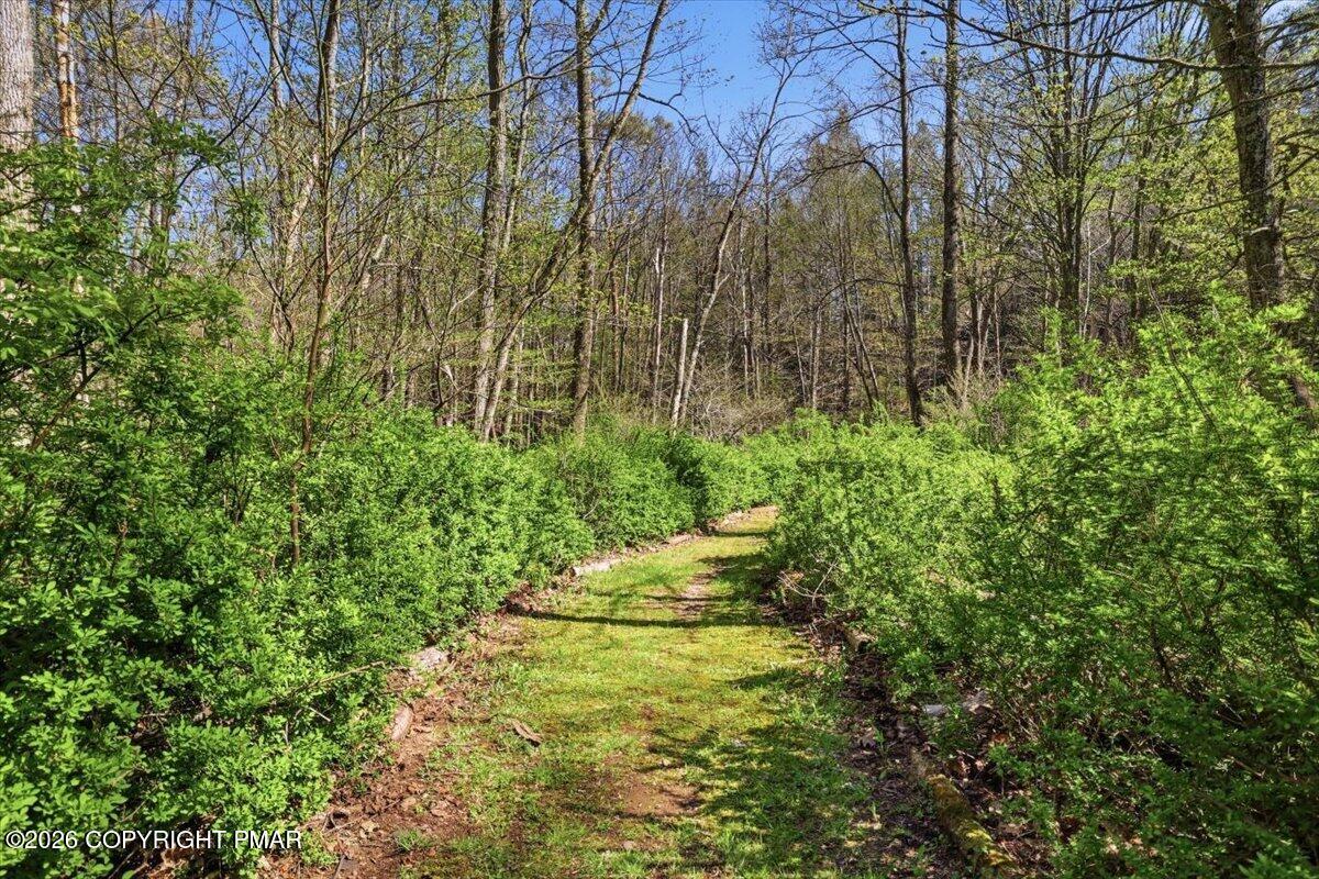 465 Pensyl Creek Road Stroudsburg, PA 18360 - Photo 26 of 71 Walking Trails