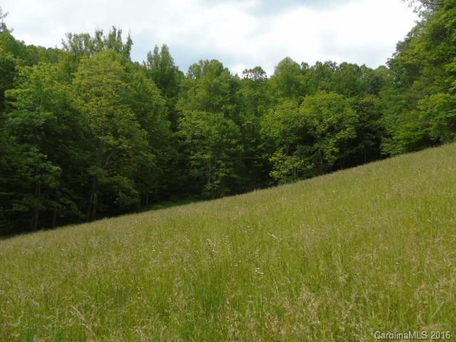 520 Sugar Camp Road Marshall, NC 28753 - Photo 3 of 8 Gallery Image 3