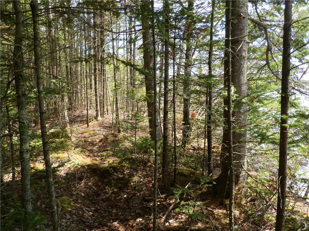 0 Rays Point Road Milbridge, ME 04658 - Photo 26 of 34 Photo