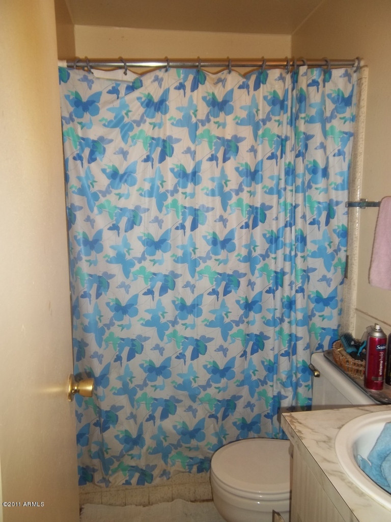 1406 North Miller Road Tempe, AZ 85288 - Photo 4 of 10 Bathroom 1