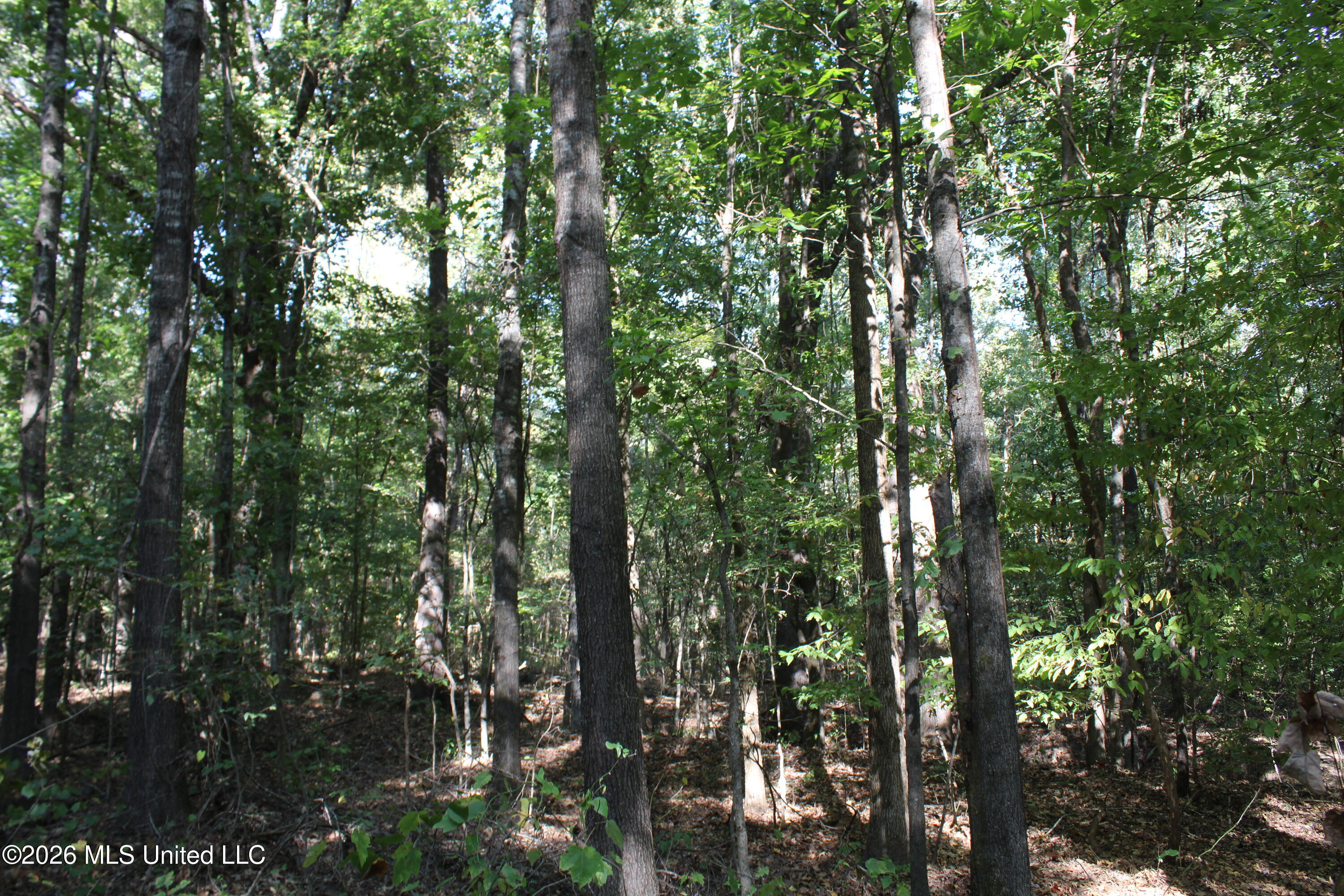 15 Tulane Road Nesbit, MS 38651 - Photo 20 of 64 IMG_8234