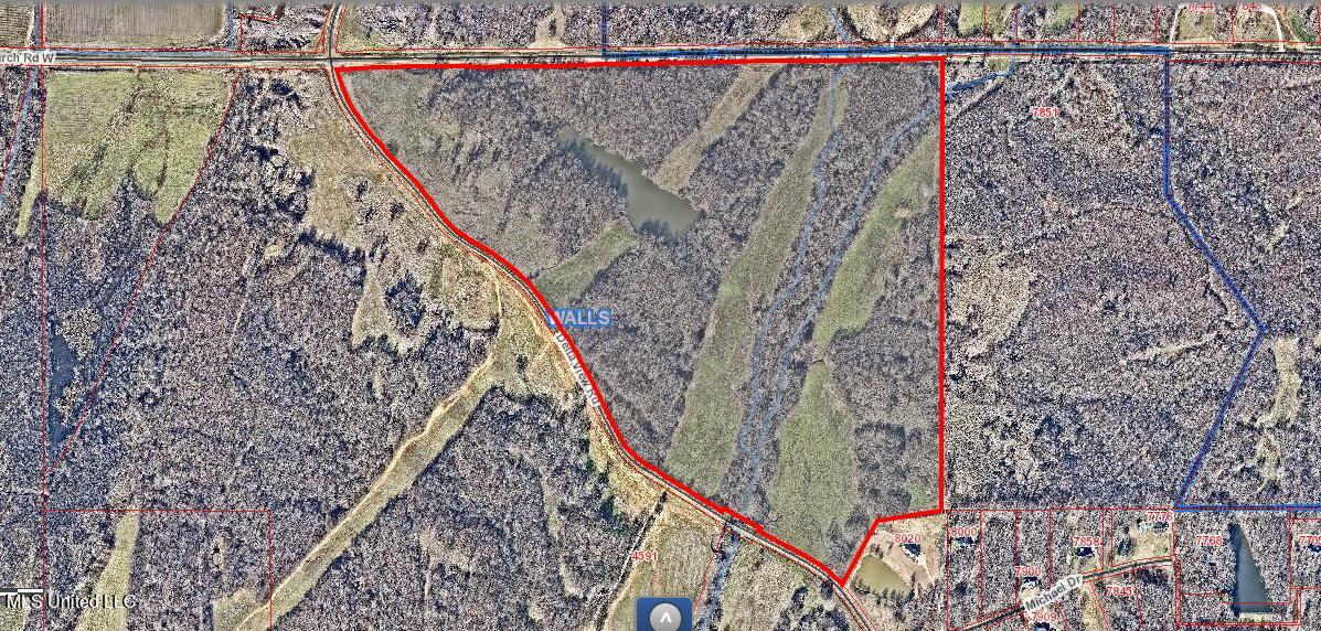Church Road Lake Cormorant, MS 38641 - Photo 5 of 5 Rendering