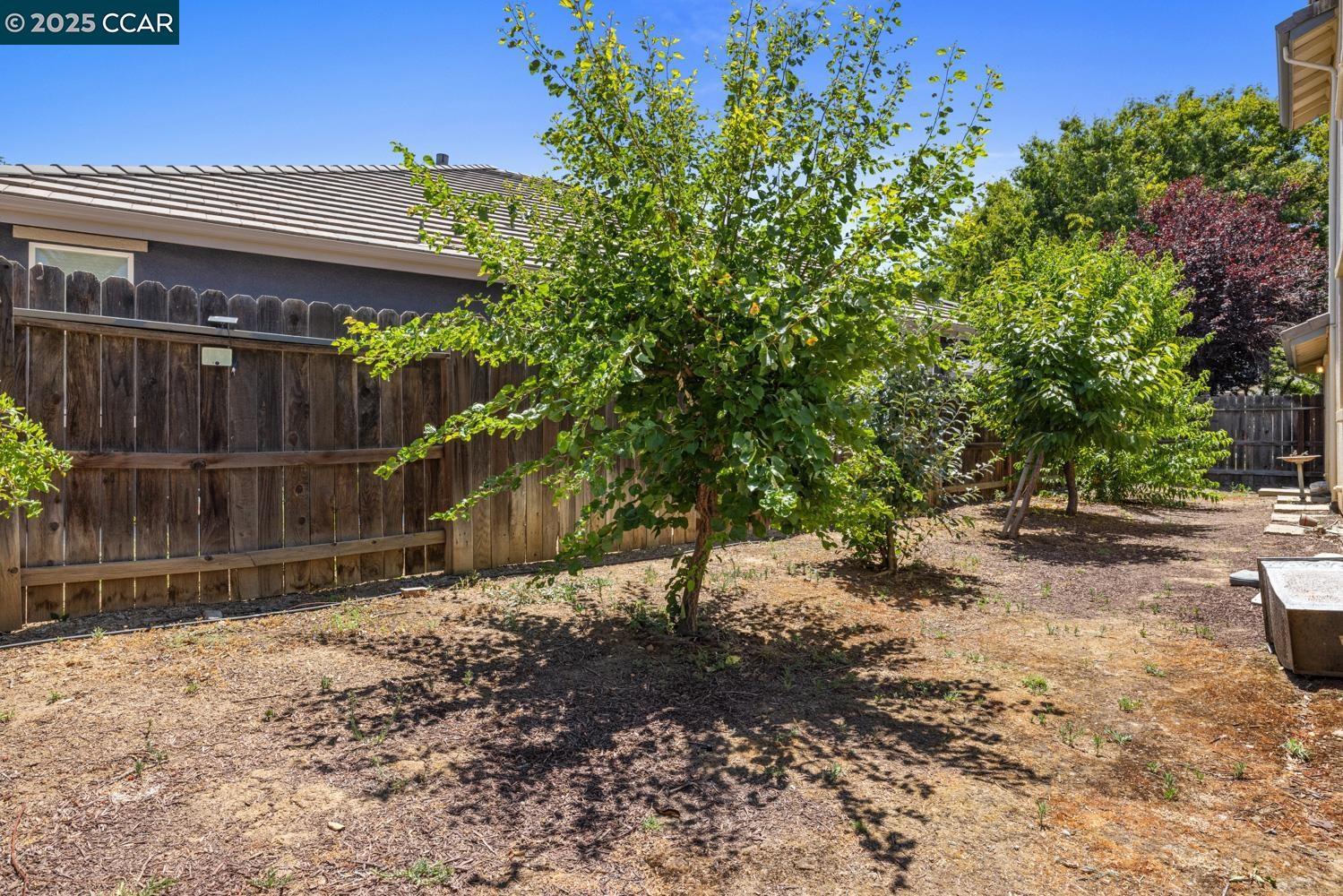 1117 Van Gogh Lane Patterson, CA 95363 - Photo 45 of 55 a backyard of a house with lots of green space