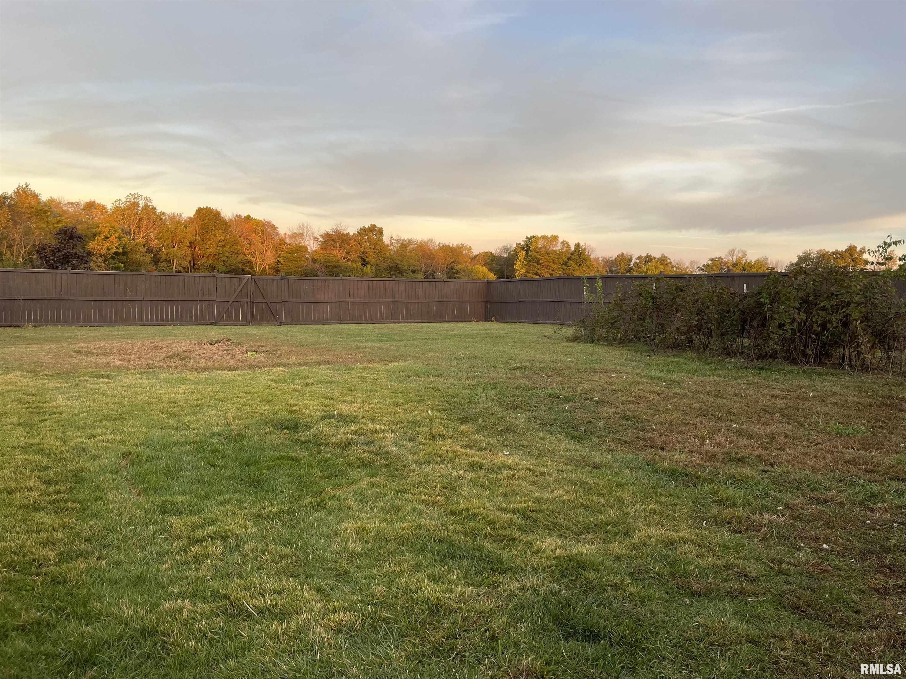 842 Highway 14 Carmi, IL 62821 - Photo 43 of 49