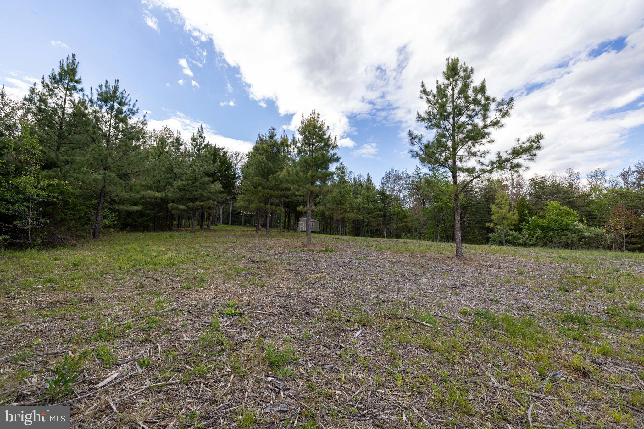 Boliver Road Fort Valley, VA 22652 - Photo 22 of 49 Gallery Image 22