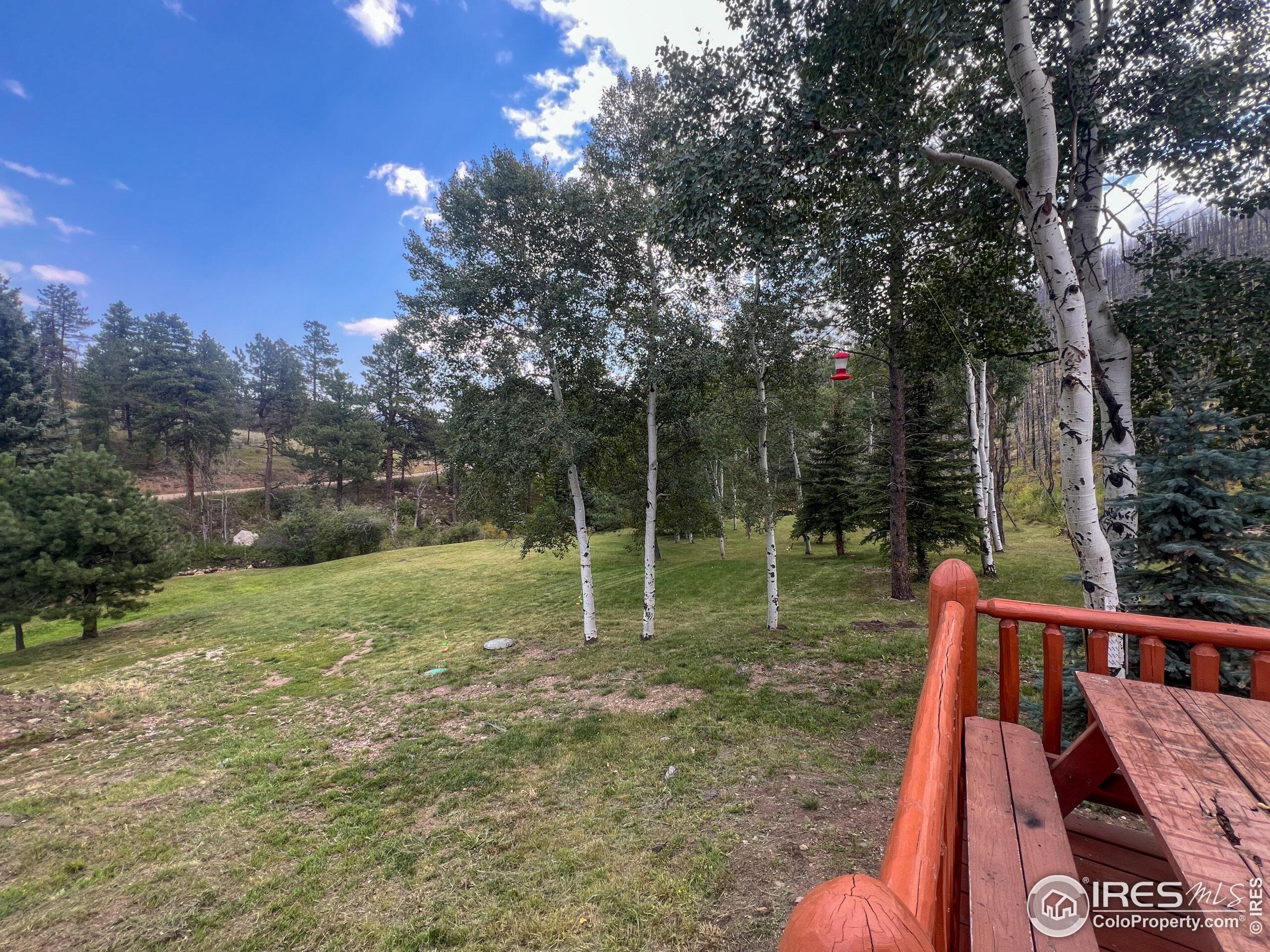 27667 Buckhorn Road Bellvue, CO 80512 - Photo 22 of 40 a backyard of a house with lots of green space