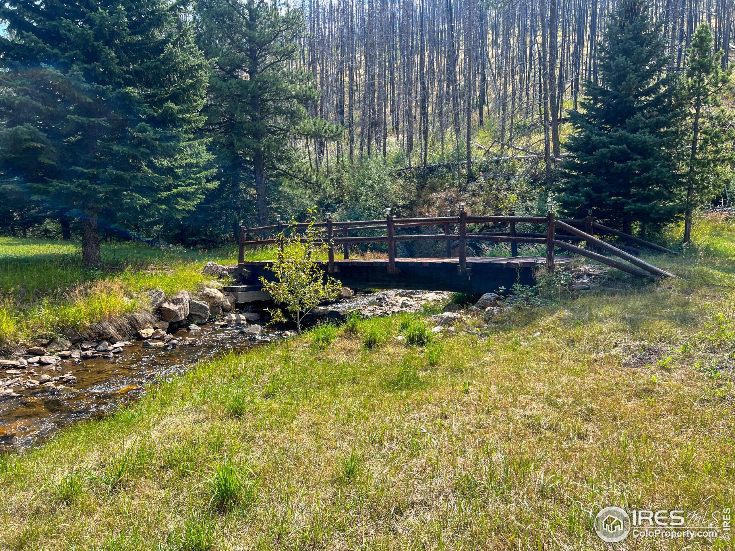 27667 Buckhorn Road Bellvue, CO 80512 - Photo 24 of 40 a view of a swimming pool with a patio and a garden