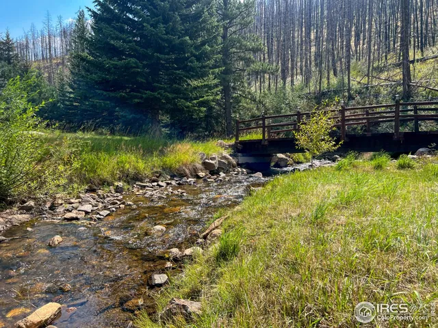 a view of swimming pool with a garden