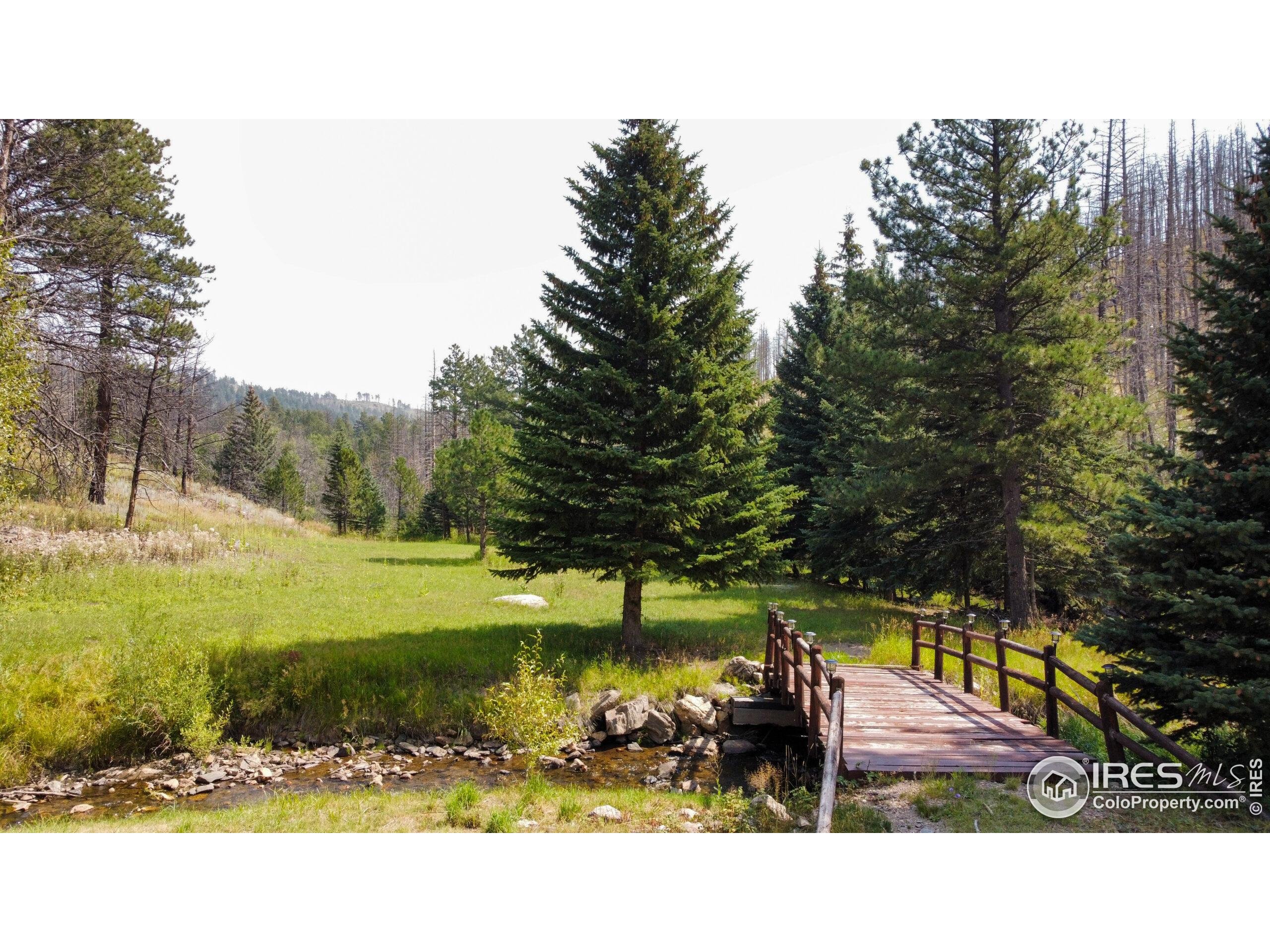 27667 Buckhorn Road Bellvue, CO 80512 - Photo 26 of 40 a view of a park with large trees