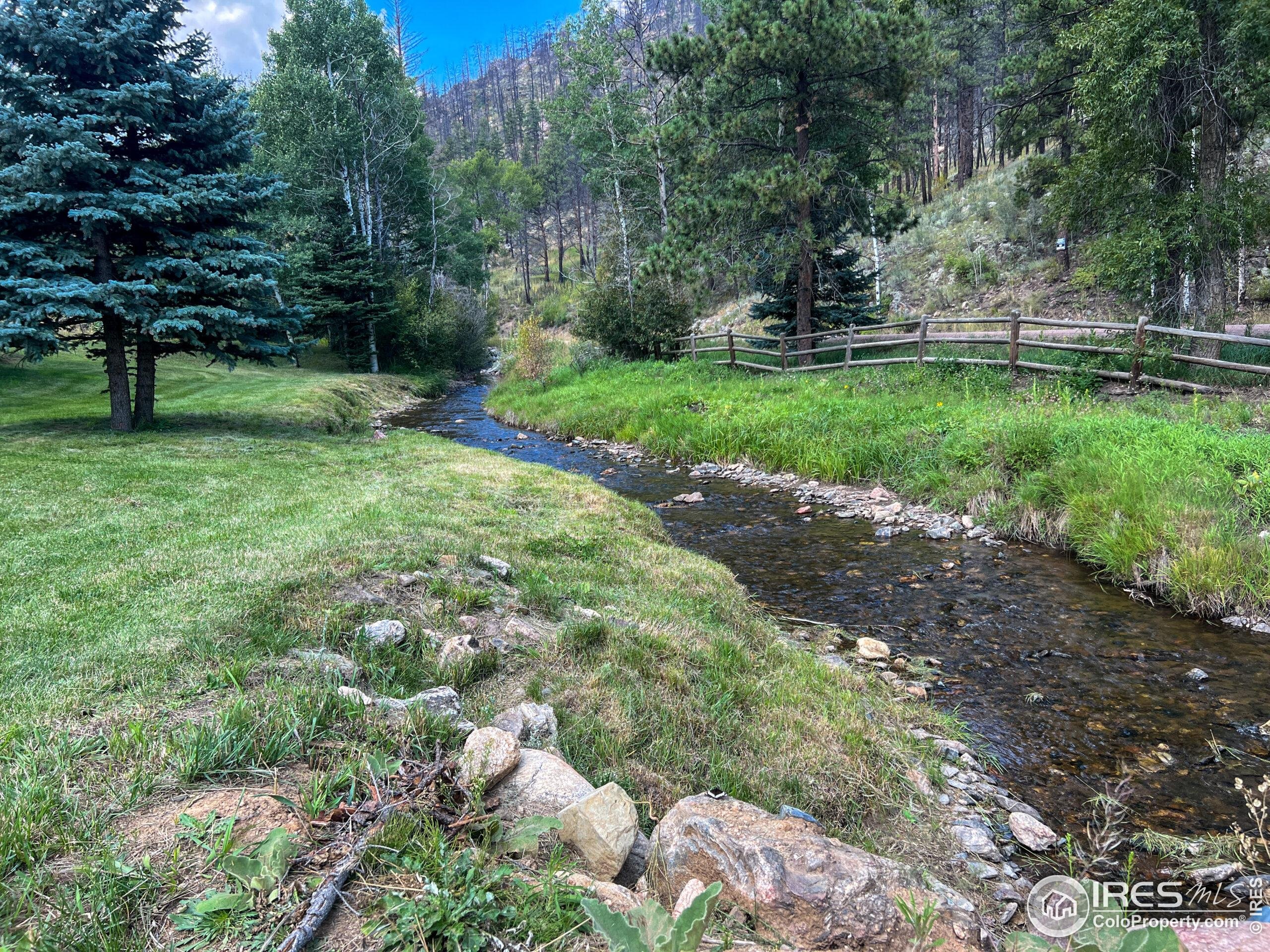 27667 Buckhorn Road Bellvue, CO 80512 - Photo 28 of 40 a view of a park with large trees