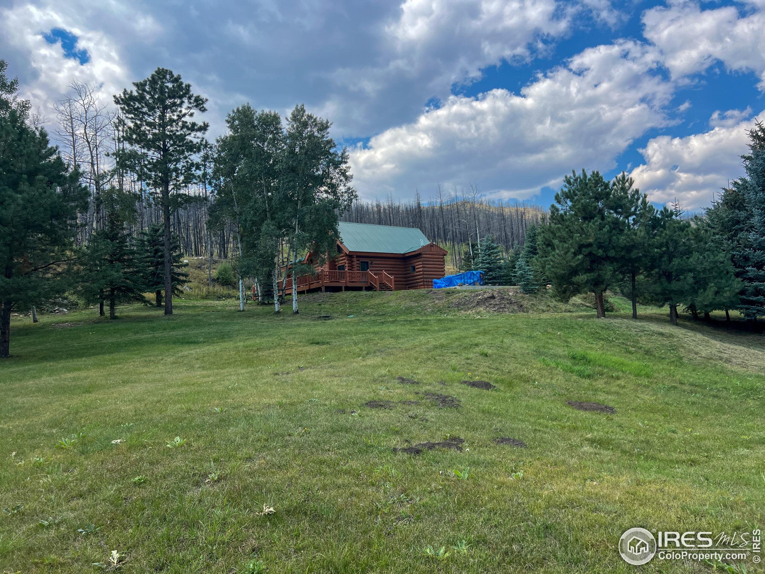27667 Buckhorn Road Bellvue, CO 80512 - Photo 29 of 40 a view of a trees in a yard