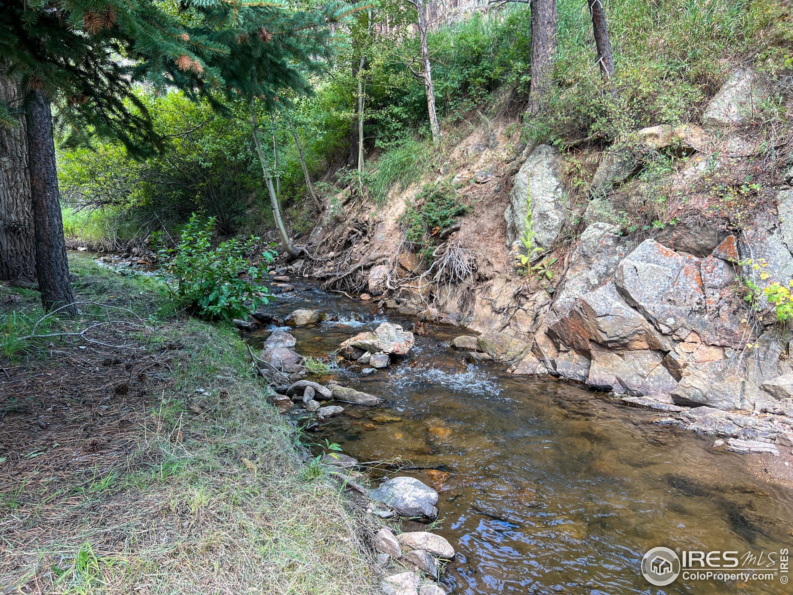 27667 Buckhorn Road Bellvue, CO 80512 - Photo 30 of 40 a view of a forest with trees