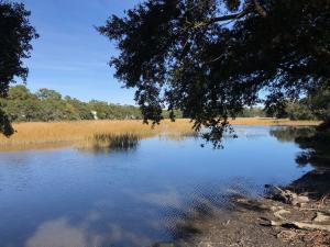 1402 Camp Road, Unit 15G Charleston, SC 29412 - Photo 14 of 14 20201209204016737343000000
