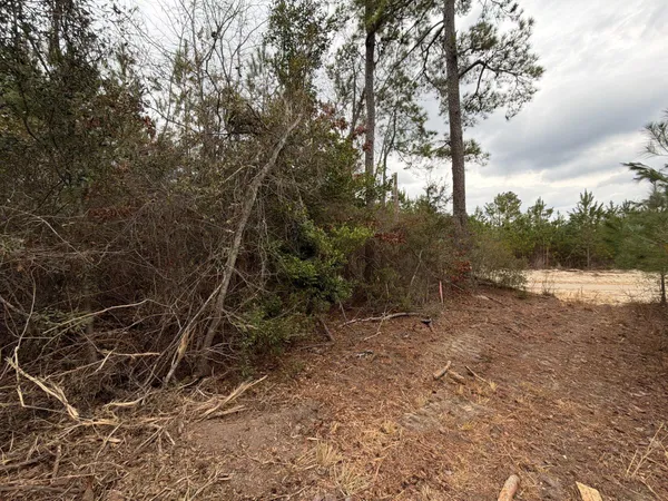 $59,900 | 2 J C J C Barefoot Road, Unit BFF II 2, Patrick, SC 29584
