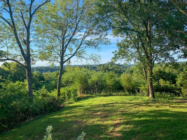 a view of a yard with a bench