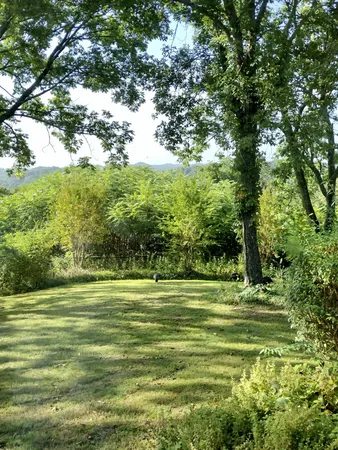 a view of outdoor space and yard