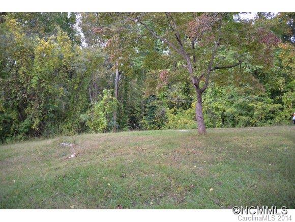 40 Lyle Street Tryon, NC 28782 - Photo 5 of 16 a view of a yard with a tree