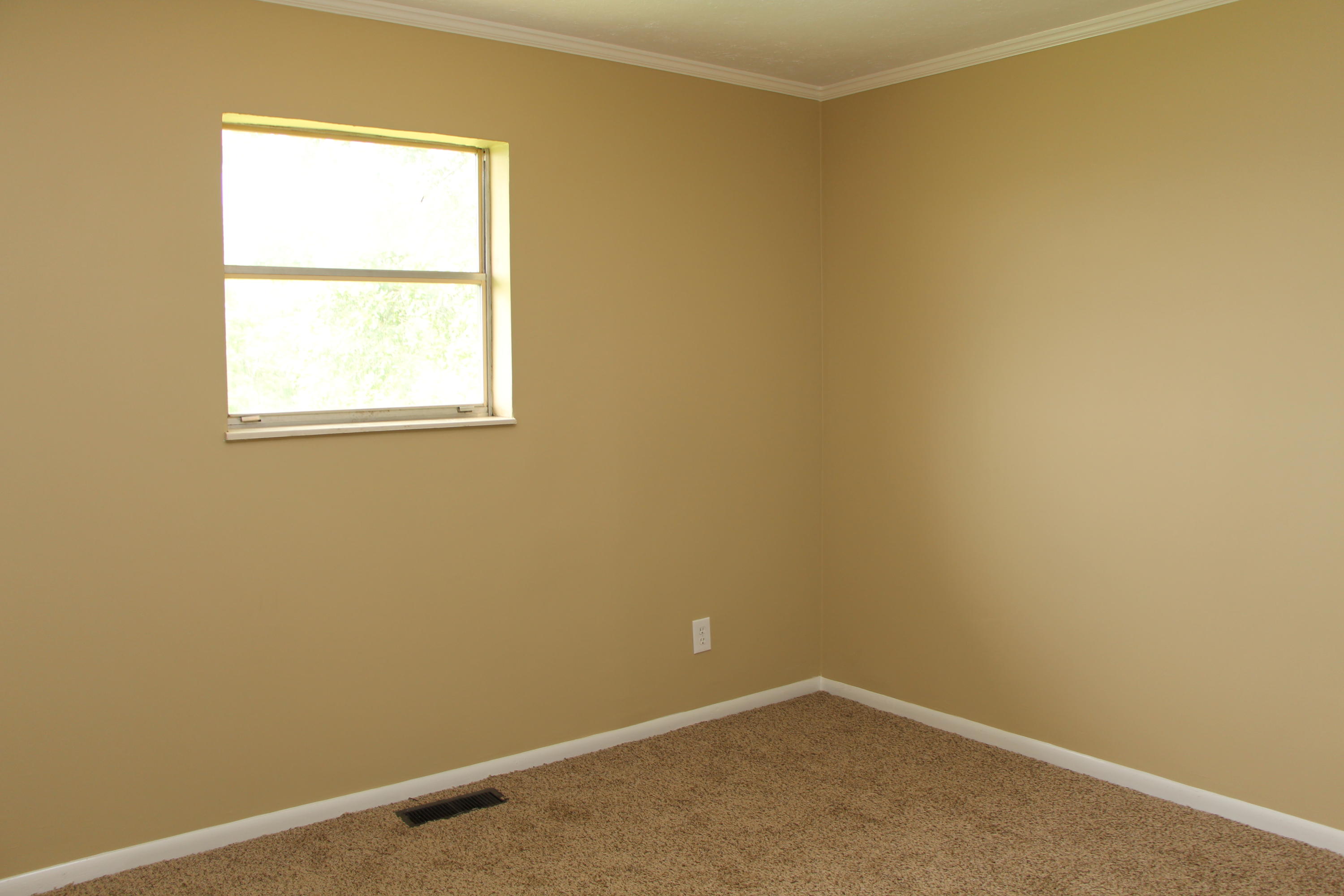 145 Young Lane Decatur, TN 37322 - Photo 6 of 11 IMG_1343