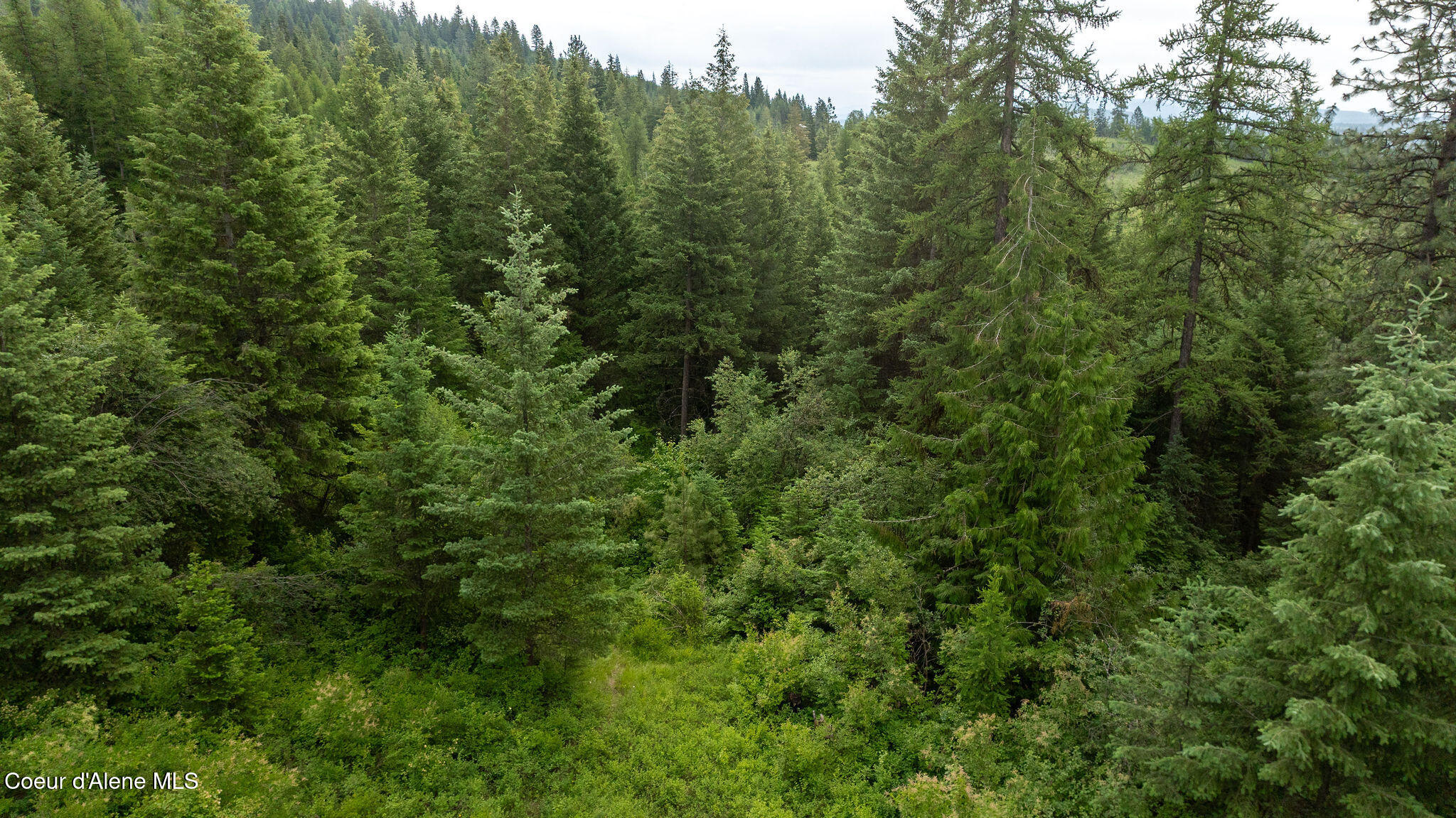 3232 Hells Gulch Road St. Maries, ID 83861 - Photo 11 of 24 DJI_0503