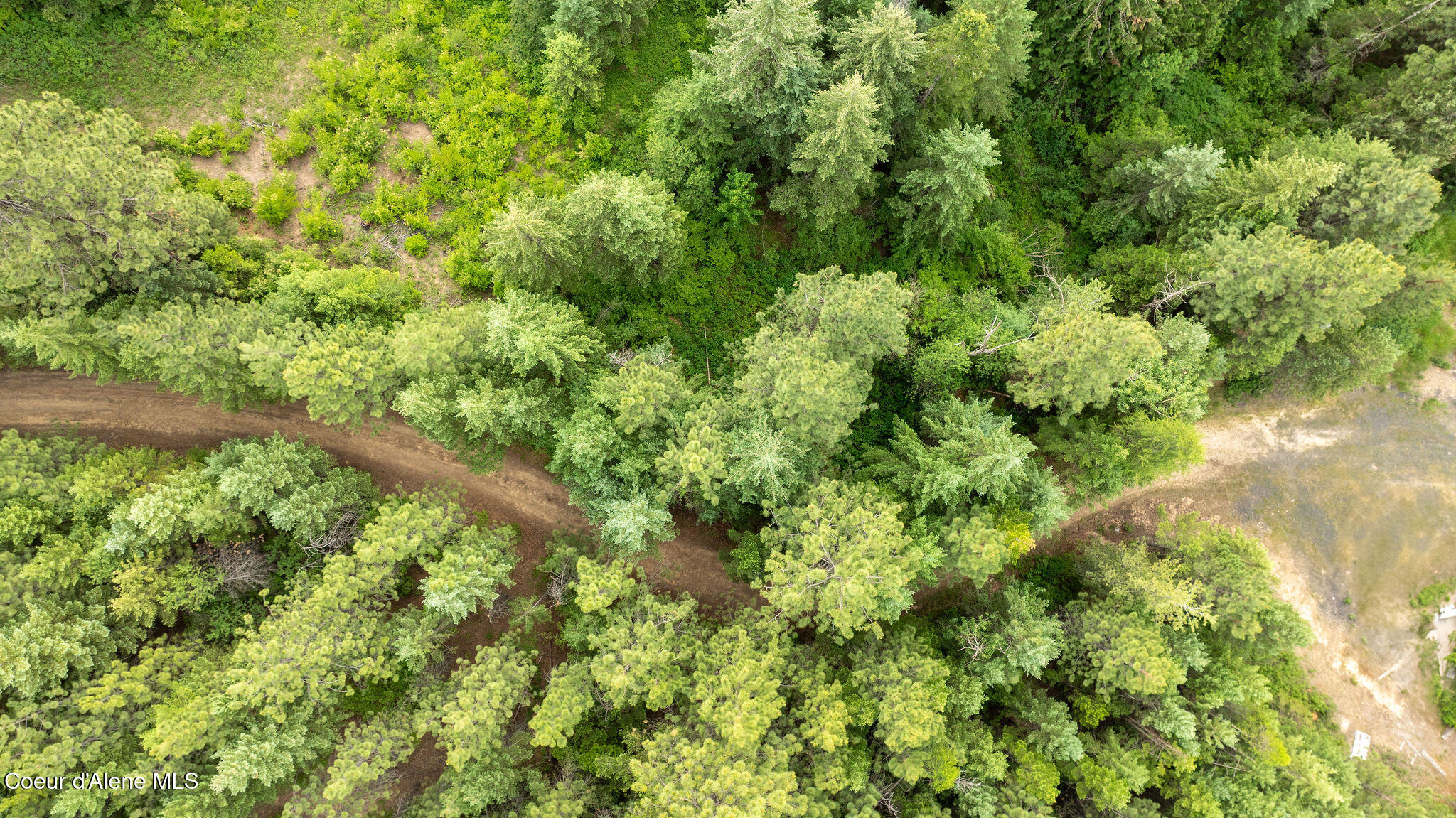 3232 Hells Gulch Road St. Maries, ID 83861 - Photo 12 of 24 DJI_0500