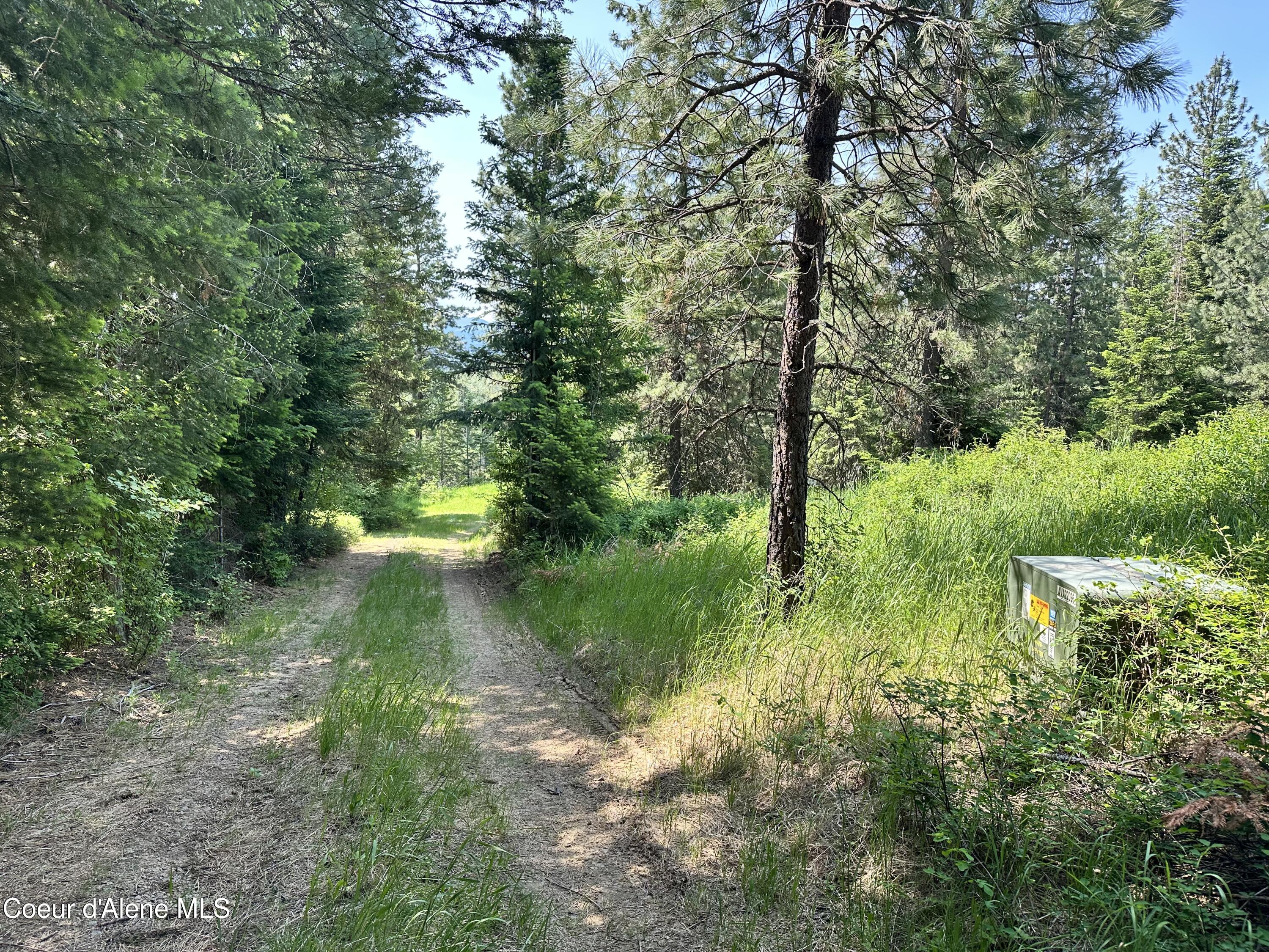 3232 Hells Gulch Road St. Maries, ID 83861 - Photo 2 of 24 IMG_0846