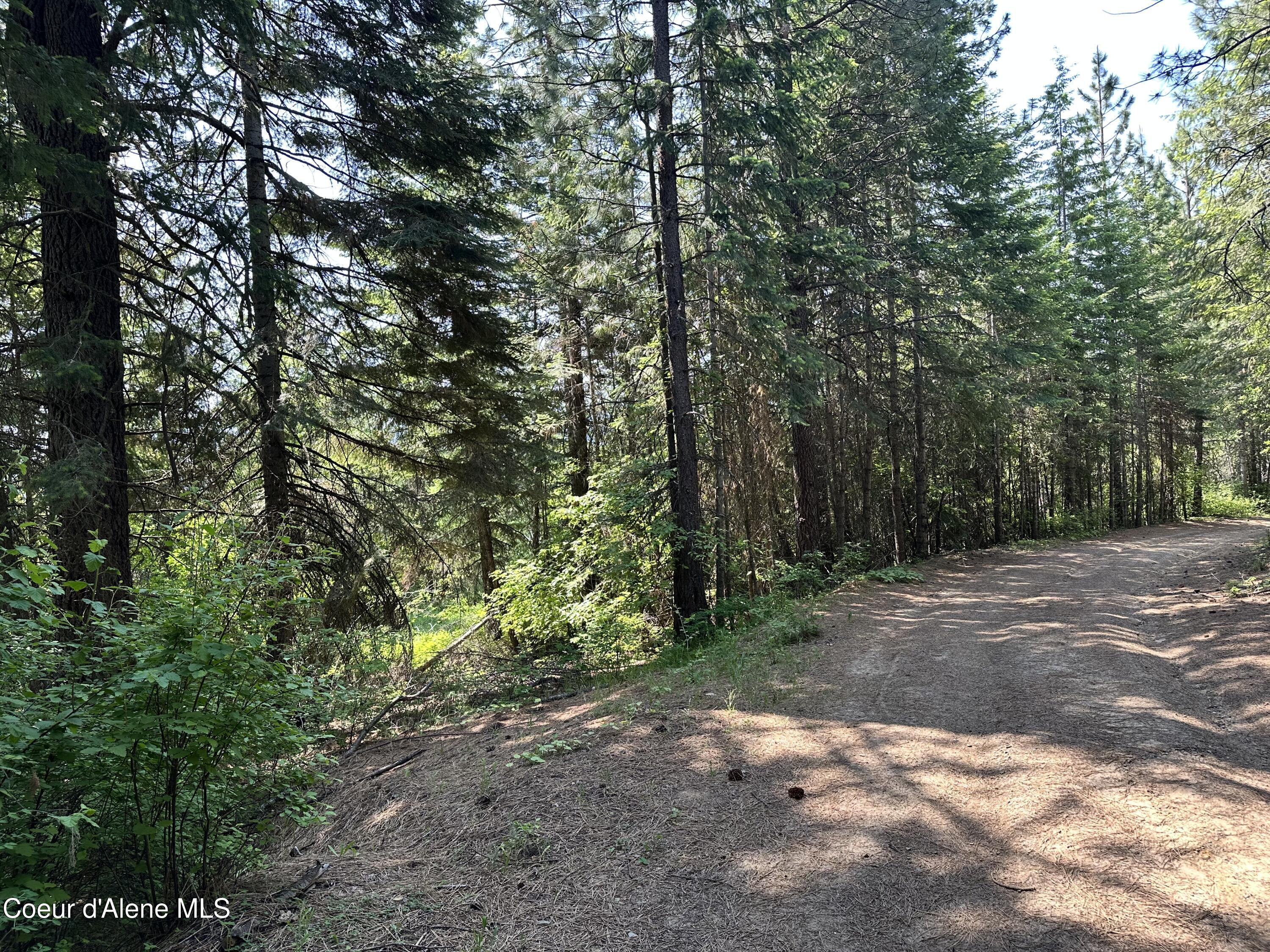 3232 Hells Gulch Road St. Maries, ID 83861 - Photo 3 of 24 IMG_0843