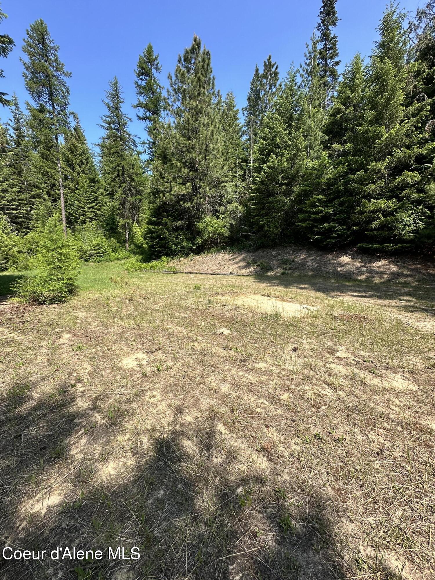 3232 Hells Gulch Road St. Maries, ID 83861 - Photo 5 of 24 IMG_0816