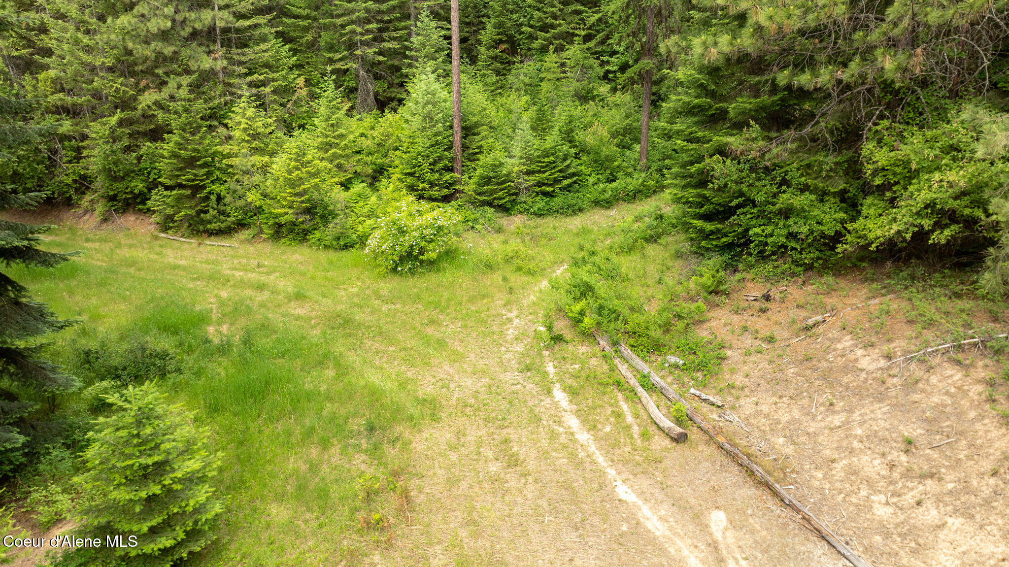 3232 Hells Gulch Road St. Maries, ID 83861 - Photo 8 of 24 DJI_0513