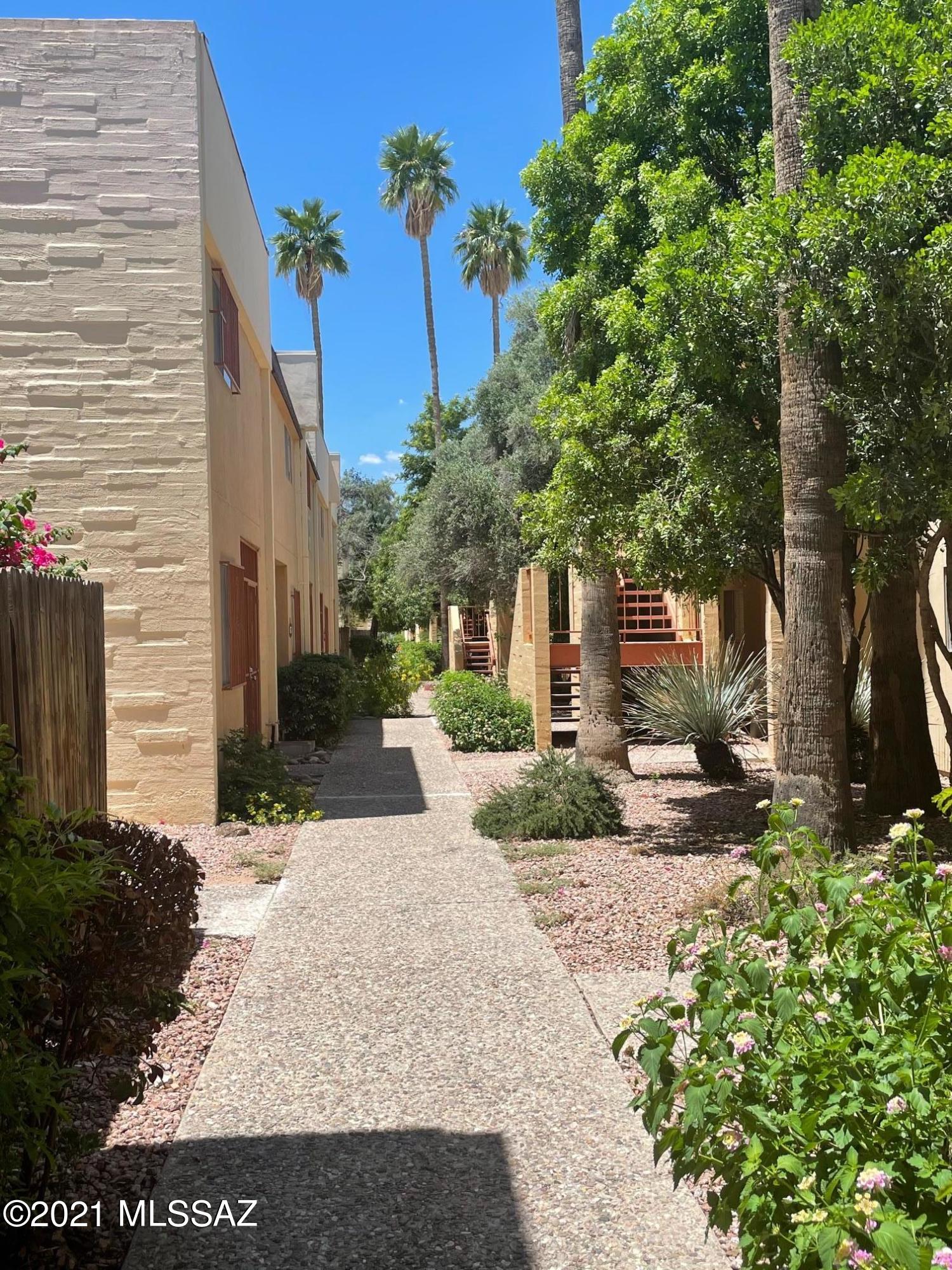 1341 East Fort Lowell Road, Unit 1341M Tucson, AZ 85719 - Photo 1 of 19