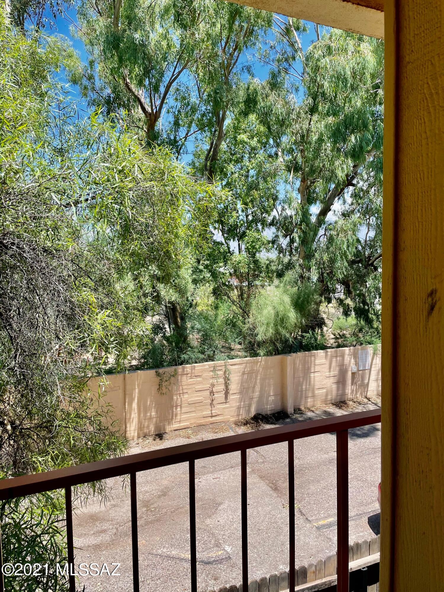 1341 East Fort Lowell Road, Unit 1341M Tucson, AZ 85719 - Photo 18 of 19