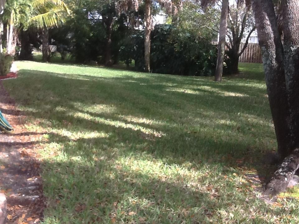 4033 Southwest Mackemer Road Port St. Lucie, FL 34953 - Photo 22 of 22 Backyard