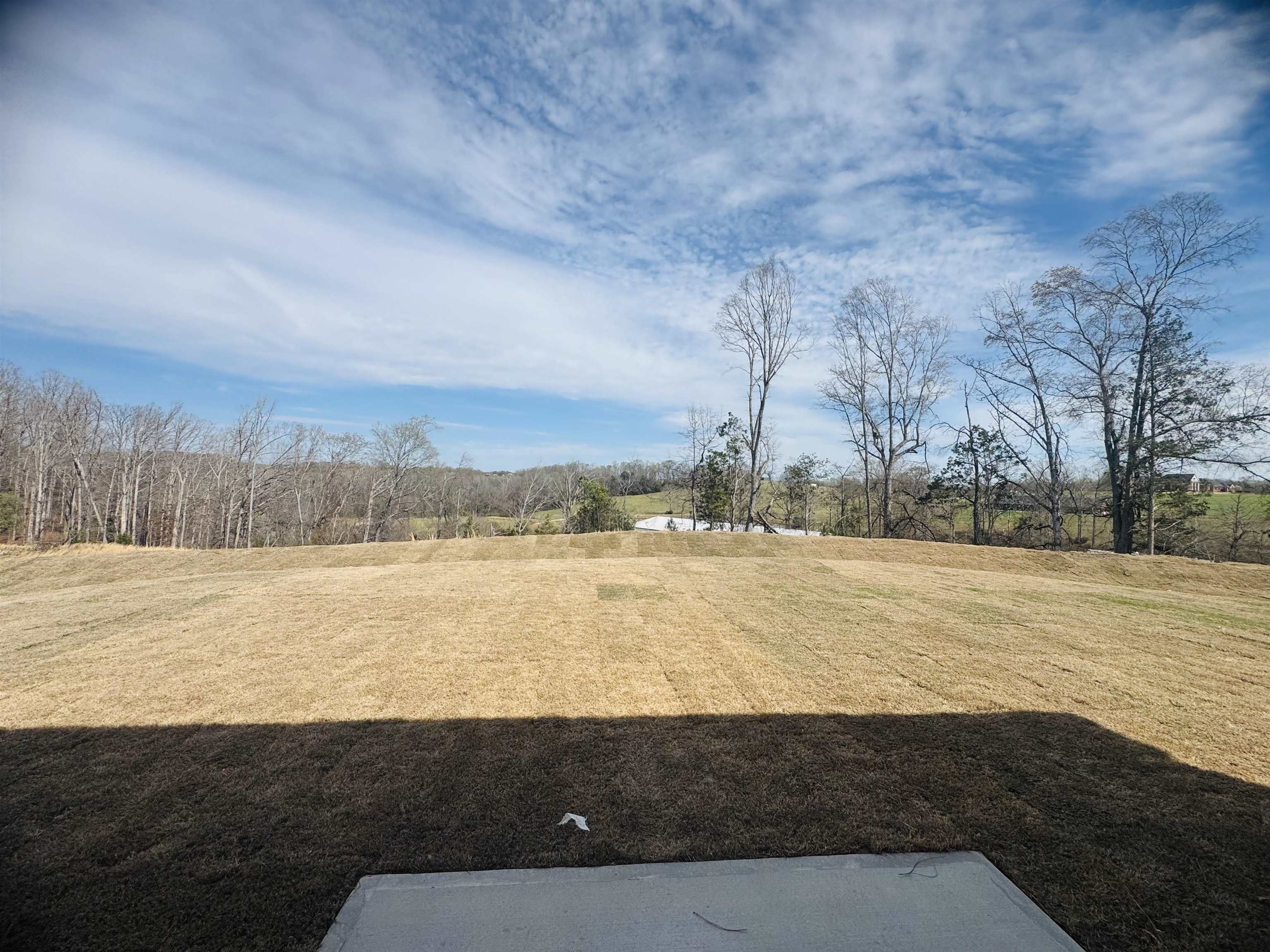 461 Haddon Trail Woodruff, SC 29388 - Photo 3 of 3