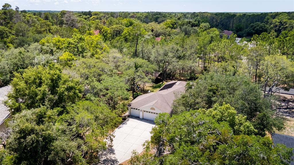 9183 Nightingale Road Weeki Wachee, FL 34613 - Photo 30 of 32