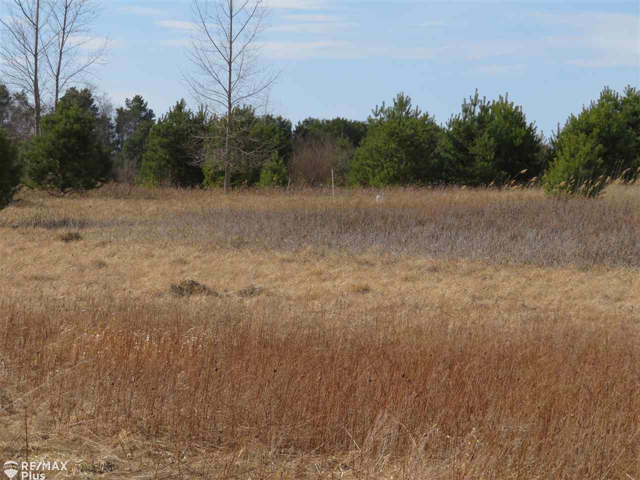 0 Thayer Road Mayville, MI 48744 - Photo 5 of 7