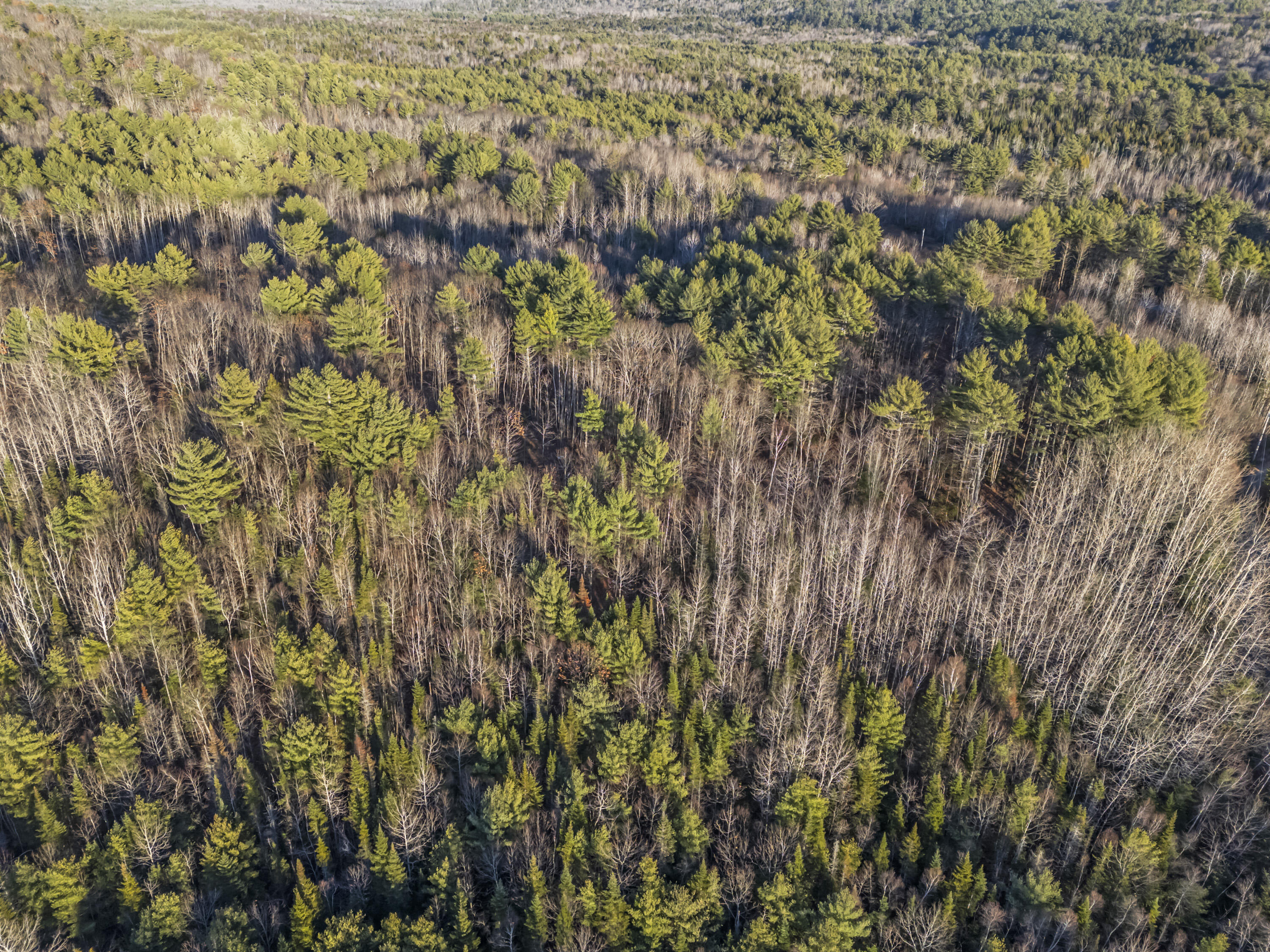 Lot 1 Hostile Valley Road Palermo, ME 04354 - Photo 41 of 54