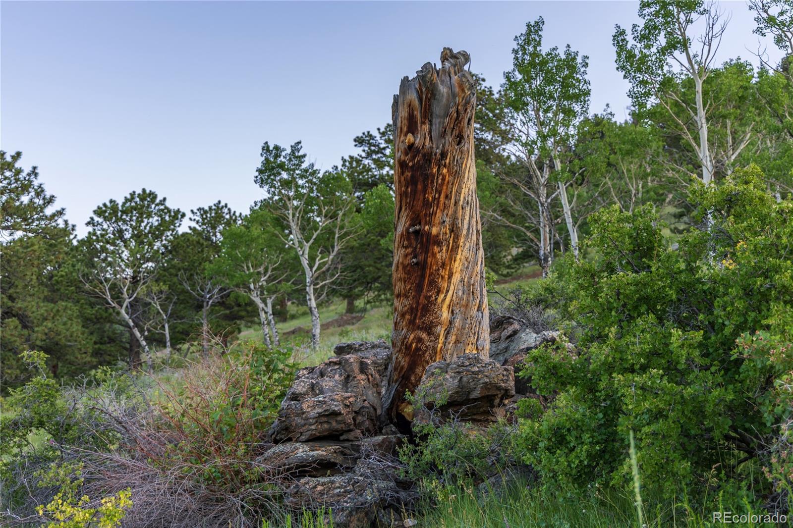 0 Highland Road Golden, CO 80403 - Photo 14 of 14