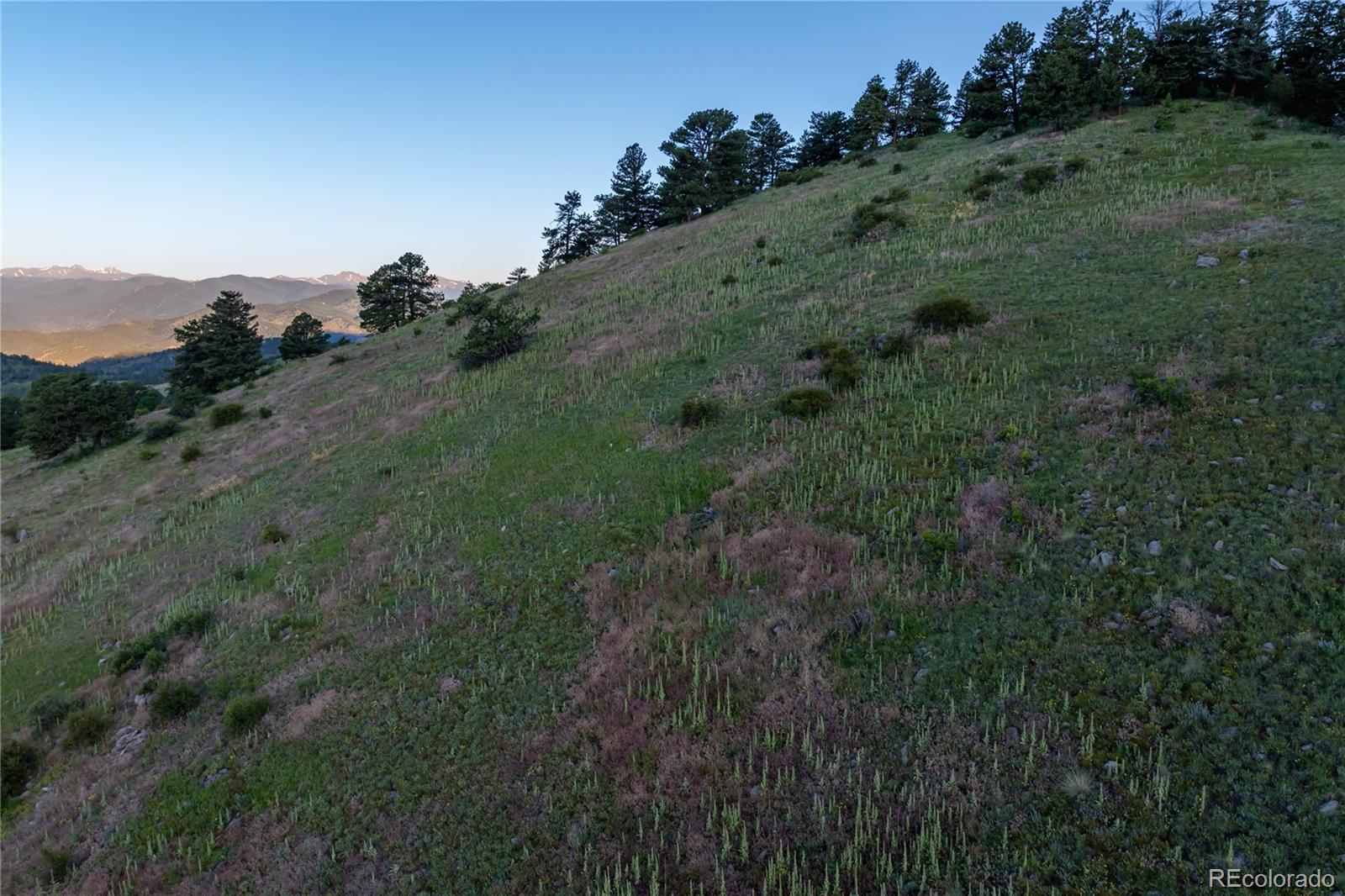 0 Highland Road Golden, CO 80403 - Photo 10 of 14