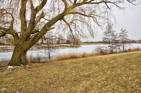 352 Springlake Lane, Unit A Aurora, IL 60504 - Photo 16 of 20