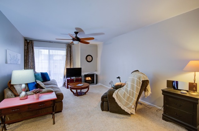 352 Springlake Lane, Unit A Aurora, IL 60504 - Photo 4 of 20