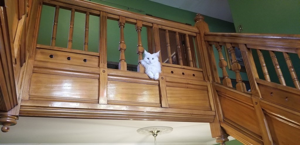 138 Walnut Street Clinton, MA 01510 - Photo 18 of 42