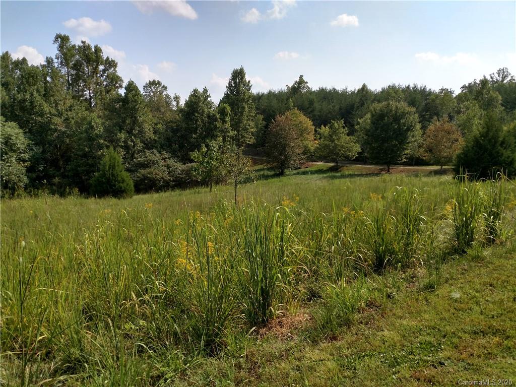 0 Songbird Ct Lake Rutherfordton, NC 28139 - Photo 3 of 4