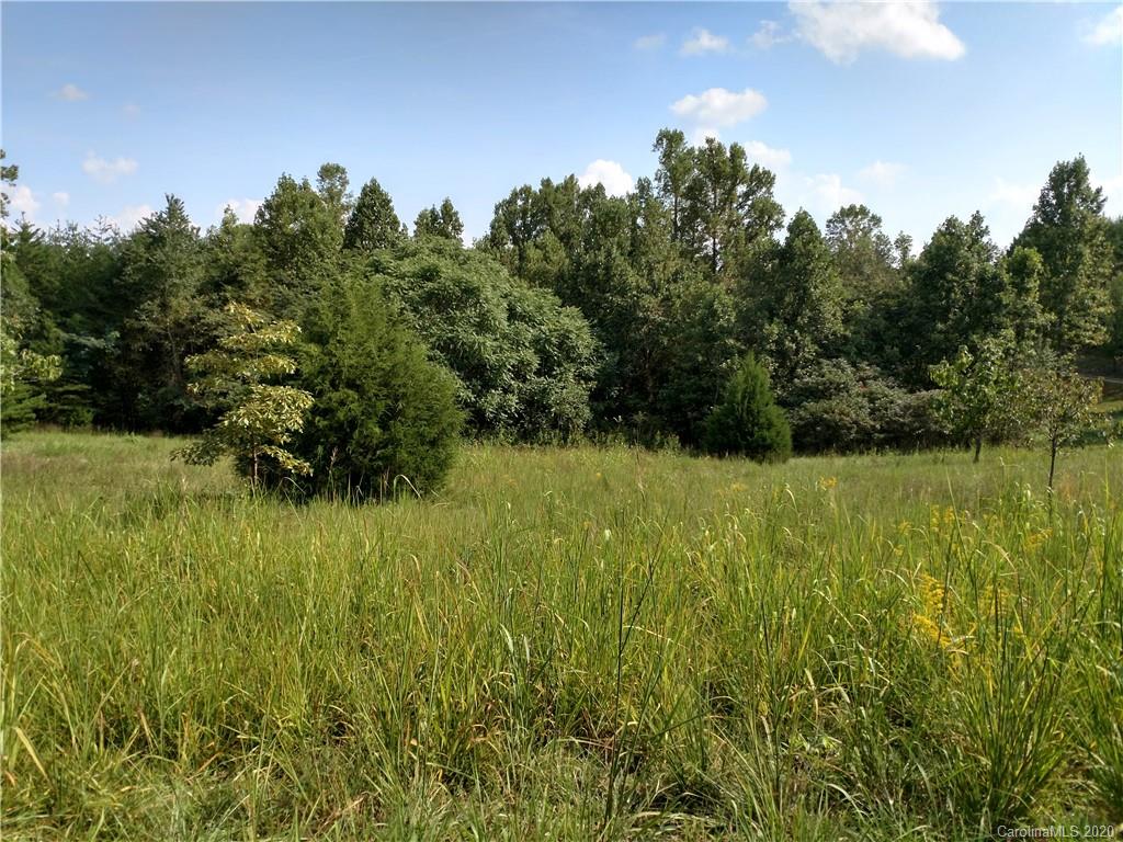 0 Songbird Ct Lake Rutherfordton, NC 28139 - Photo 4 of 4