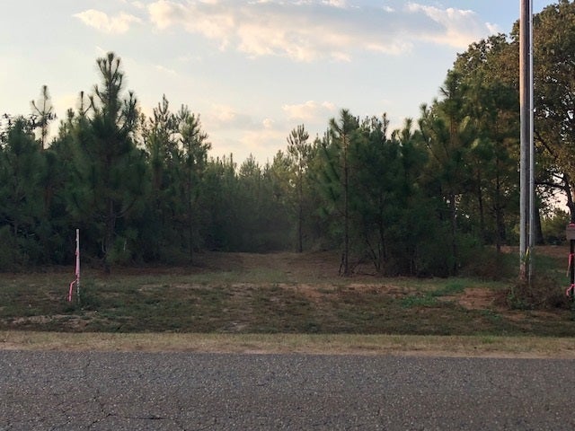65-ac Straughn School Road Andalusia, AL 36421 - Photo 42 of 47 Gallery Image 42