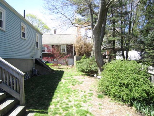 17 Youngs Road Dedham, MA 02026 - Photo 22 of 24 Gallery Image 22