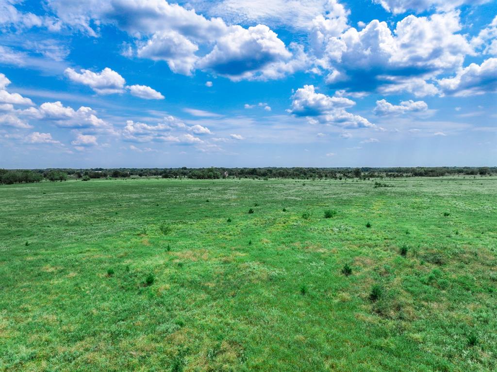 0 Fm 71 Highway Talco, TX 75487 - Photo 16 of 29 a view of a yard